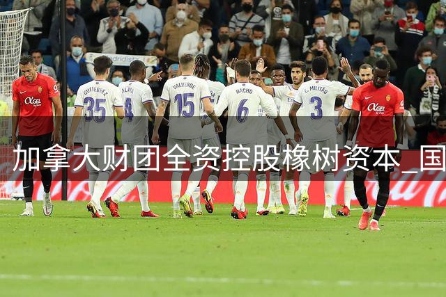 加拿大财团全资控股橡树资本 国际米兰转会独立性不受影响